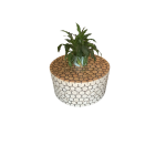 Circled Coffee Table | Handcrafted Wooden Elegance for Every Space