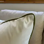 Velvet With Green Piping