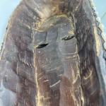 African cultural Mask