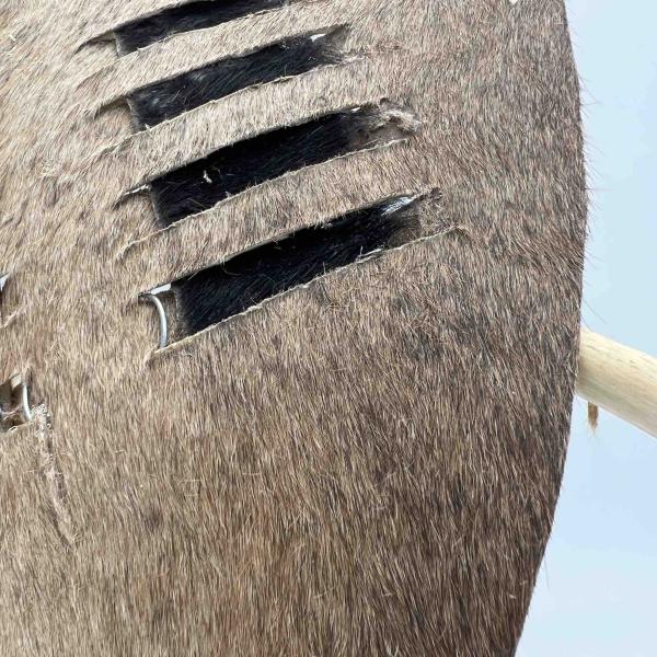 Isihlangu Zulu Feather Shield