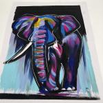 Tembo Colourful Paint